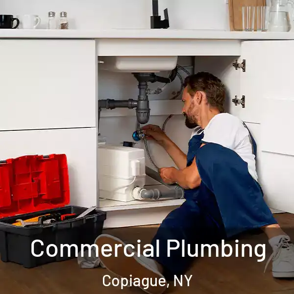  Commercial Plumbing Copiague, NY